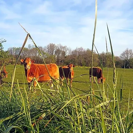 D'hotes Le Luquet
